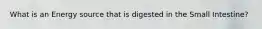 What is an Energy source that is digested in the Small Intestine?