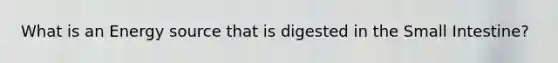 What is an Energy source that is digested in the Small Intestine?