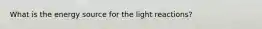 What is the energy source for the light reactions?