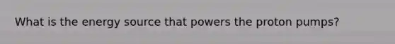 What is the energy source that powers the proton pumps?