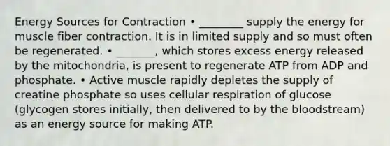 Energy Sources for Contraction • ________ supply the energy for muscle fiber contraction. It is in limited supply and so must often be regenerated. • _______, which stores excess energy released by the mitochondria, is present to regenerate ATP from ADP and phosphate. • Active muscle rapidly depletes the supply of creatine phosphate so uses cellular respiration of glucose (glycogen stores initially, then delivered to by the bloodstream) as an energy source for making ATP.