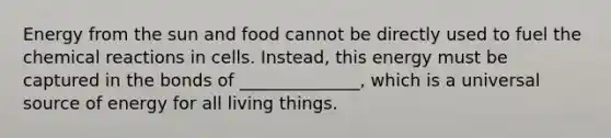 Energy from the sun and food cannot be directly used to fuel the <a href='https://www.questionai.com/knowledge/kc6NTom4Ep-chemical-reactions' class='anchor-knowledge'>chemical reactions</a> in cells. Instead, this energy must be captured in the bonds of ______________, which is a universal source of energy for all living things.