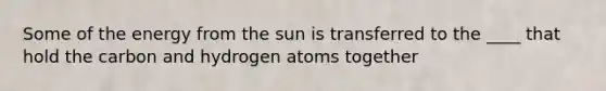 Some of the energy from the sun is transferred to the ____ that hold the carbon and hydrogen atoms together