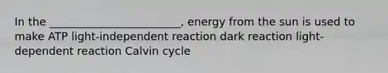 In the ________________________, energy from the sun is used to make ATP light-independent reaction dark reaction light-dependent reaction Calvin cycle