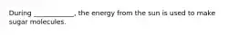 During ____________, the energy from the sun is used to make sugar molecules.