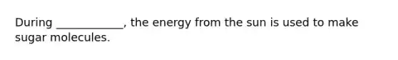 During ____________, the energy from the sun is used to make sugar molecules.