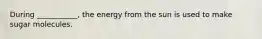 During ___________, the energy from the sun is used to make sugar molecules.