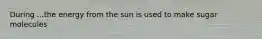 During ...the energy from the sun is used to make sugar molecules