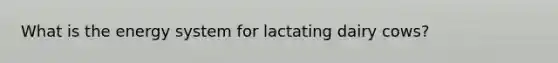 What is the energy system for lactating dairy cows?