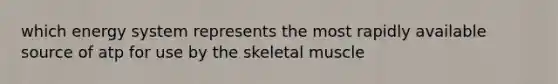 which energy system represents the most rapidly available source of atp for use by the skeletal muscle