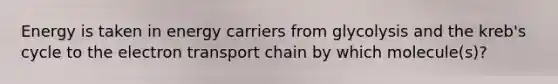 Energy is taken in energy carriers from glycolysis and the kreb's cycle to the electron transport chain by which molecule(s)?