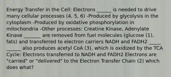 Energy Transfer in the Cell: Electrons ______ is needed to drive many cellular processes (4, 5, 6) -Produced by glycolysis in the cytoplasm -Produced by oxidative phosphorylation in mitochondria -Other processes: Creatine Kinase, Adenylate Kinase _______ are removed from fuel molecules (glucose (1), fats) and transferred to electron carriers NADH and FADH2 _____ ______ also produces acetyl CoA (3), which is oxidized by the TCA Cycle: Electrons transferred to NADH and FADH2 Electrons are "carried" or "delivered" to the Electron Transfer Chain (2) which does what?