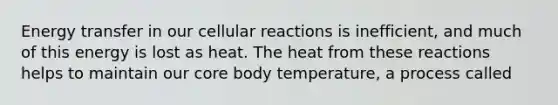 Energy transfer in our cellular reactions is inefficient, and much of this energy is lost as heat. The heat from these reactions helps to maintain our core body temperature, a process called