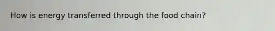 How is energy transferred through the food chain?