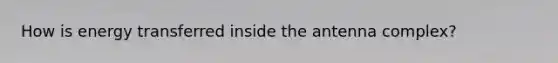 How is energy transferred inside the antenna complex?