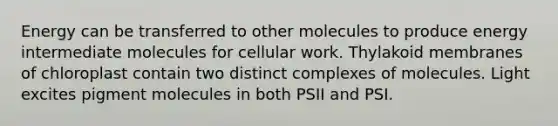 Energy can be transferred to other molecules to produce energy intermediate molecules for cellular work. Thylakoid membranes of chloroplast contain two distinct complexes of molecules. Light excites pigment molecules in both PSII and PSI.