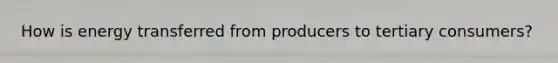How is energy transferred from producers to tertiary consumers?