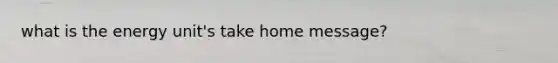 what is the energy unit's take home message?