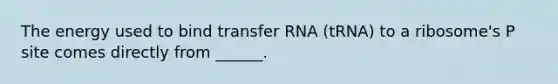 The energy used to bind transfer RNA (tRNA) to a ribosome's P site comes directly from ______.