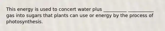 This energy is used to concert water plus __________ ___________ gas into sugars that plants can use or energy by the process of photosynthesis.