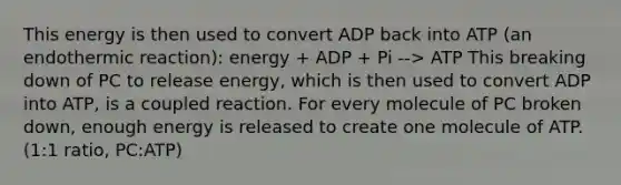 This energy is then used to convert ADP back into ATP (an endothermic reaction): energy + ADP + Pi --> ATP This breaking down of PC to release energy, which is then used to convert ADP into ATP, is a coupled reaction. For every molecule of PC broken down, enough energy is released to create one molecule of ATP. (1:1 ratio, PC:ATP)