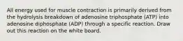 All energy used for muscle contraction is primarily derived from the hydrolysis breakdown of adenosine triphosphate (ATP) into adenosine diphosphate (ADP) through a specific reaction. Draw out this reaction on the white board.