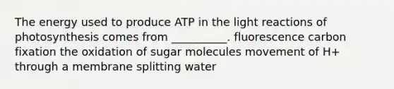 The energy used to produce ATP in the light reactions of photosynthesis comes from __________. fluorescence carbon fixation the oxidation of sugar molecules movement of H+ through a membrane splitting water