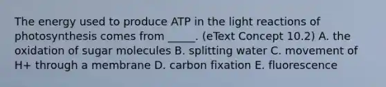 The energy used to produce ATP in the <a href='https://www.questionai.com/knowledge/kSUoWrrvoC-light-reactions' class='anchor-knowledge'>light reactions</a> of photosynthesis comes from _____. (eText Concept 10.2) A. the oxidation of sugar molecules B. splitting water C. movement of H+ through a membrane D. carbon fixation E. fluorescence