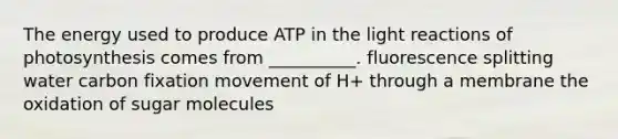 The energy used to produce ATP in the light reactions of photosynthesis comes from __________. fluorescence splitting water carbon fixation movement of H+ through a membrane the oxidation of sugar molecules