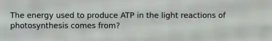 The energy used to produce ATP in the light reactions of photosynthesis comes from?