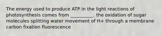 The energy used to produce ATP in the light reactions of photosynthesis comes from __________. the oxidation of sugar molecules splitting water movement of H+ through a membrane carbon fixation fluorescence