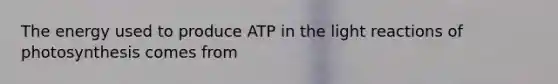 The energy used to produce ATP in the light reactions of photosynthesis comes from