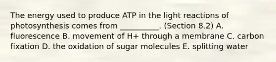 The energy used to produce ATP in the light reactions of photosynthesis comes from __________. (Section 8.2) A. fluorescence B. movement of H+ through a membrane C. carbon fixation D. the oxidation of sugar molecules E. splitting water