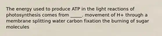 The energy used to produce ATP in the light reactions of photosynthesis comes from _____. movement of H+ through a membrane splitting water carbon fixation the burning of sugar molecules