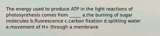 The energy used to produce ATP in the light reactions of photosynthesis comes from _____ a.the burning of sugar molecules b.fluorescence c.carbon fixation d.splitting water e.movement of H+ through a membrane