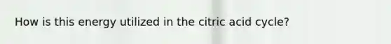 How is this energy utilized in the citric acid cycle?