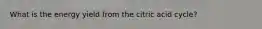 What is the energy yield from the citric acid cycle?