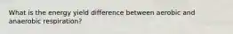 What is the energy yield difference between aerobic and anaerobic respiration?