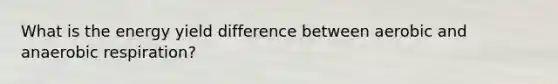 What is the energy yield difference between aerobic and anaerobic respiration?