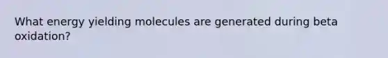 What energy yielding molecules are generated during beta oxidation?