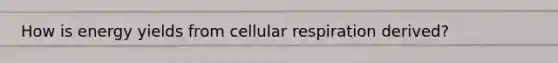 How is energy yields from cellular respiration derived?