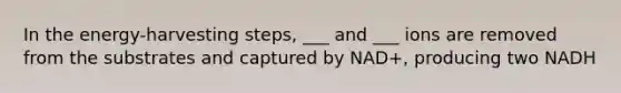 In the energy-harvesting steps, ___ and ___ ions are removed from the substrates and captured by NAD+, producing two NADH
