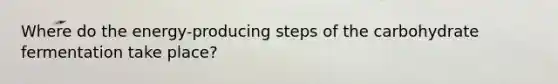 Where do the energy-producing steps of the carbohydrate fermentation take place?