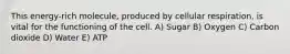 This energy-rich molecule, produced by cellular respiration, is vital for the functioning of the cell. A) Sugar B) Oxygen C) Carbon dioxide D) Water E) ATP