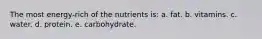 The most energy-rich of the nutrients is:​ a. fat. b. ​vitamins. ​c. water. d. protein. ​e. carbohydrate.