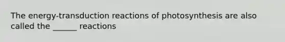 The energy-transduction reactions of photosynthesis are also called the ______ reactions