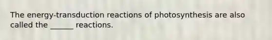 The energy-transduction reactions of photosynthesis are also called the ______ reactions.