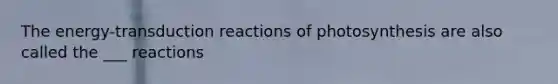 The energy-transduction reactions of photosynthesis are also called the ___ reactions