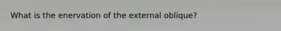 What is the enervation of the external oblique?