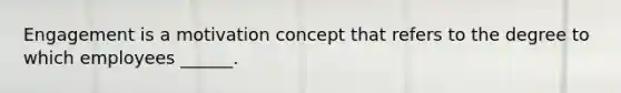 Engagement is a motivation concept that refers to the degree to which employees ______.